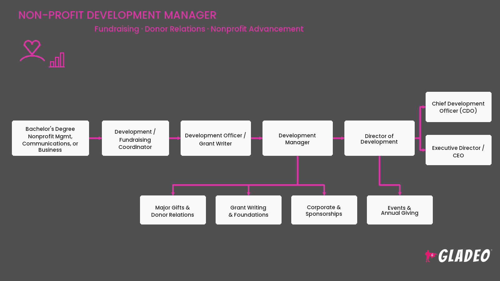 Non-Profit Development Manager